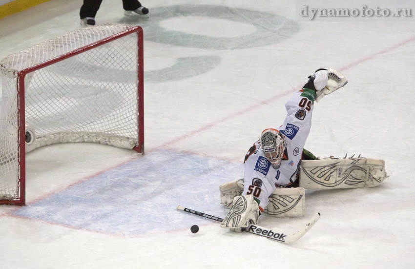 26.02.2012 Динамо  - Лев (5-3)